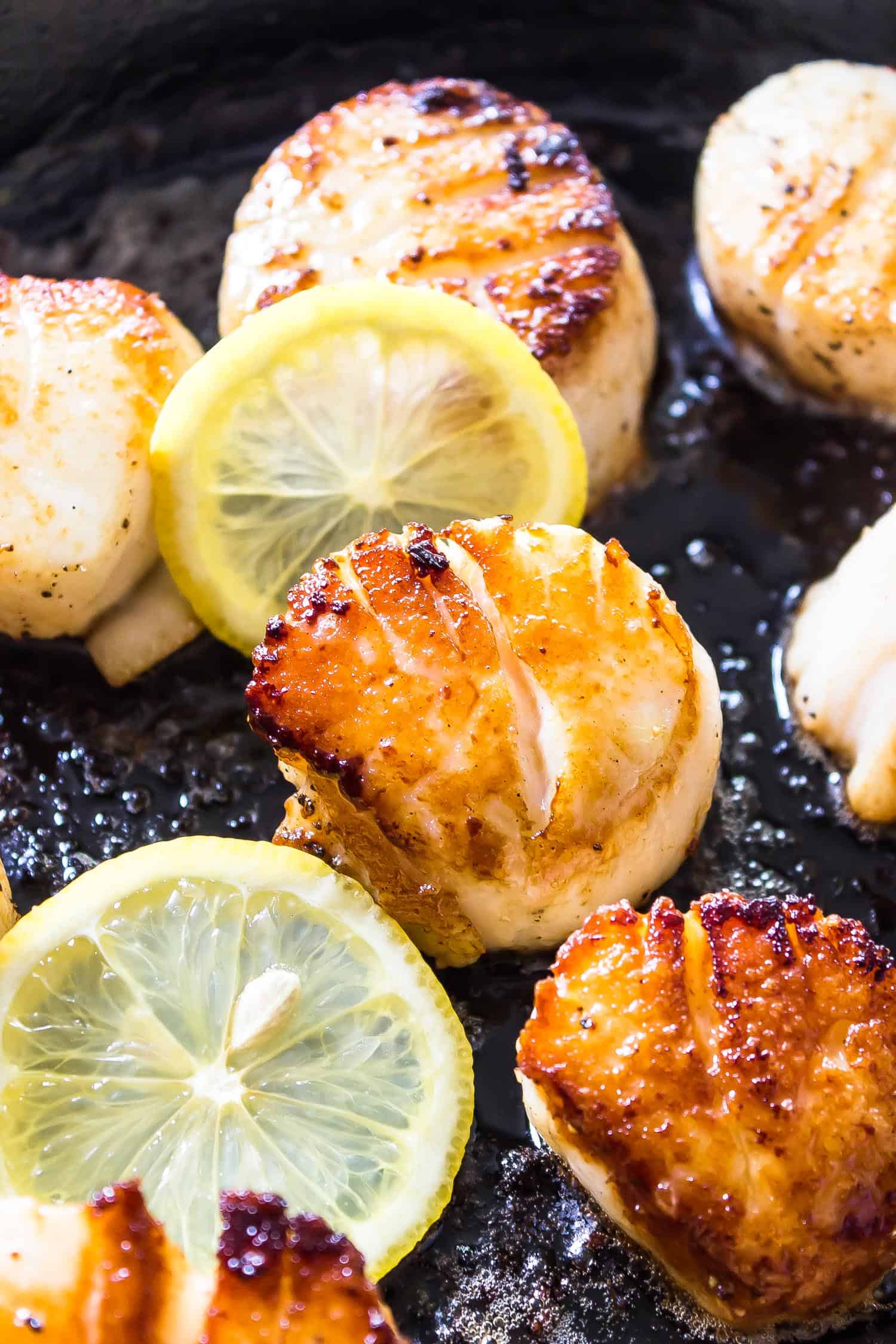Cooked scallops in pan with lemon